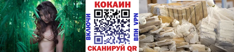 Cocaine FishScale  Купить где  Звенигород 
