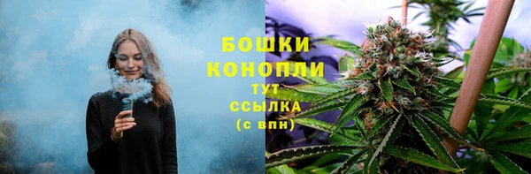 ALPHA PVP Лагань