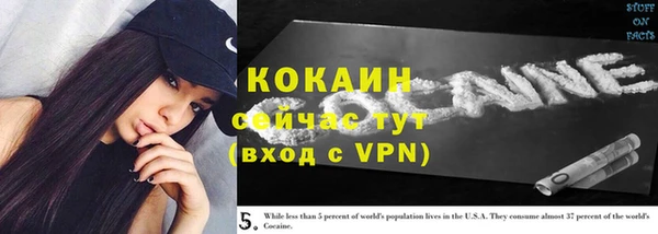 спиды Ладушкин