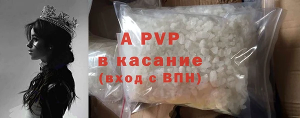 спиды Ладушкин