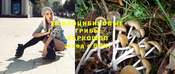 спиды Ладушкин