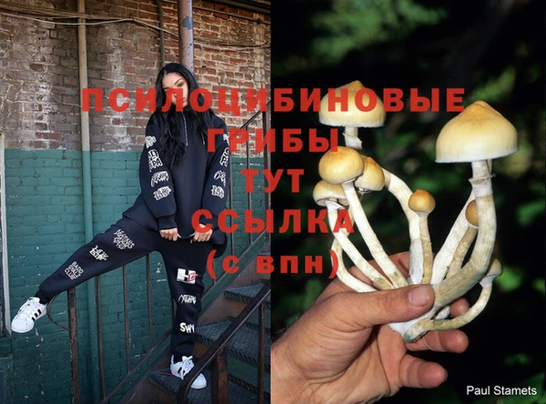 спиды Ладушкин