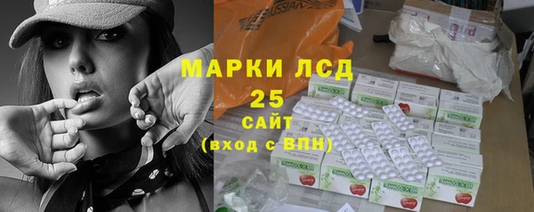 спиды Ладушкин