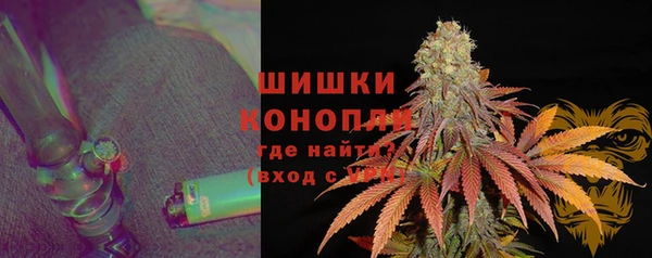 спиды Ладушкин