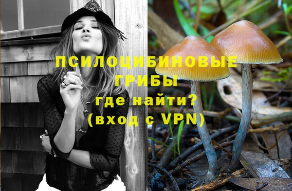 ешки Лабытнанги