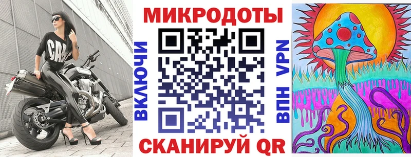 Купить где  Звенигород  Псилоцибиновые грибы Cubensis 