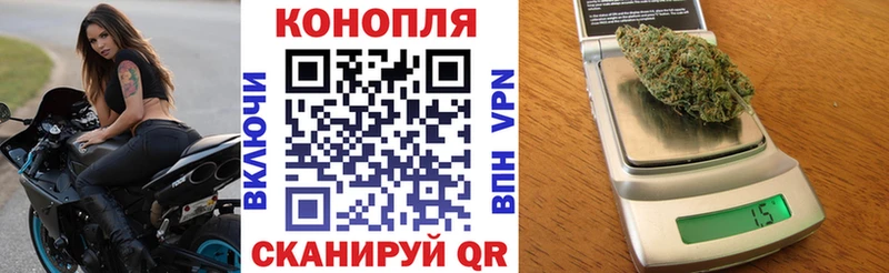 Купить где  Звенигород  Каннабис марихуана 